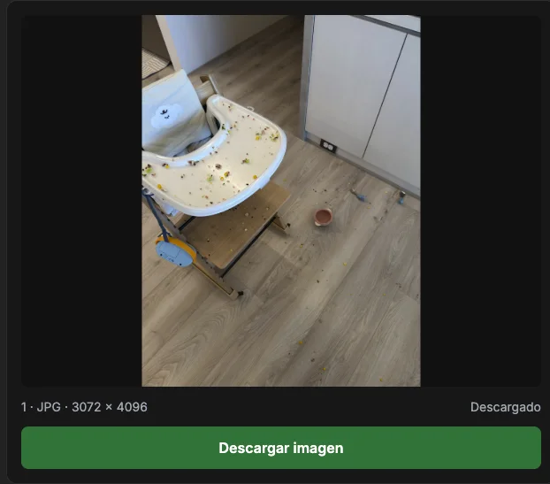 Estado después de descargar el archivo de imagen.