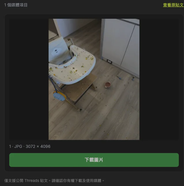 已載入的照片預覽與下載圖片按鈕。